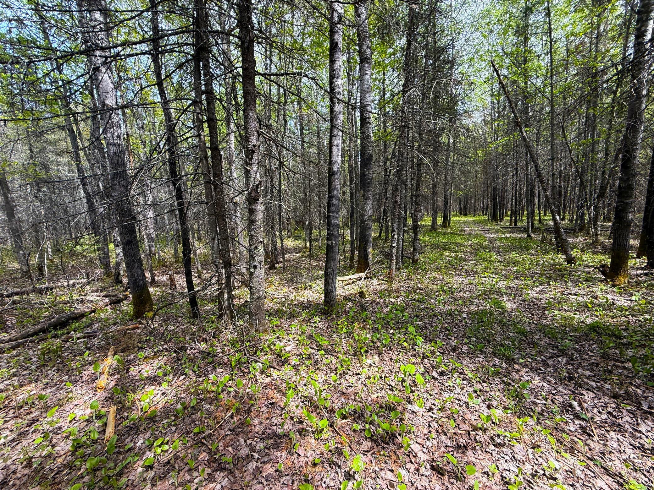 72XX E Central Lakes Road Lot F, Eveleth, Minnesota image 20