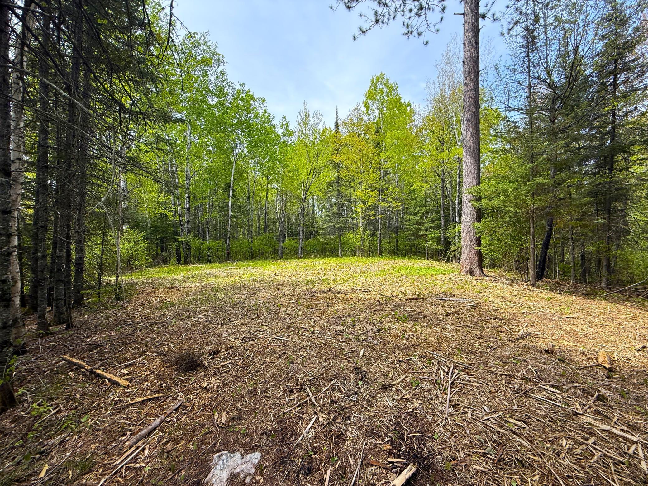 72XX E Central Lakes Road Lot F, Eveleth, Minnesota image 4