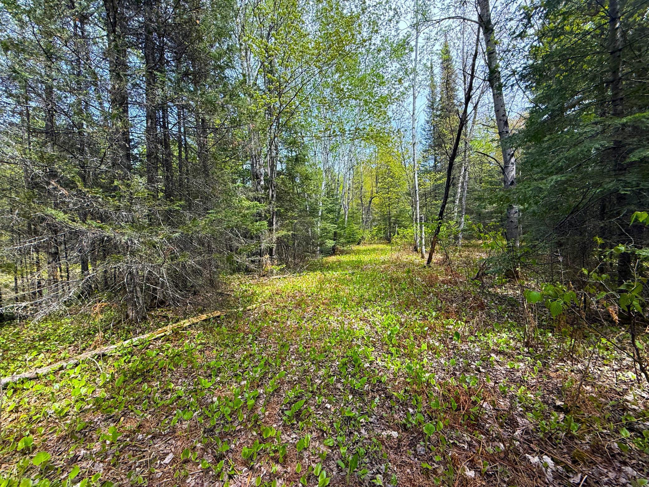 72XX E Central Lakes Road Lot F, Eveleth, Minnesota image 12