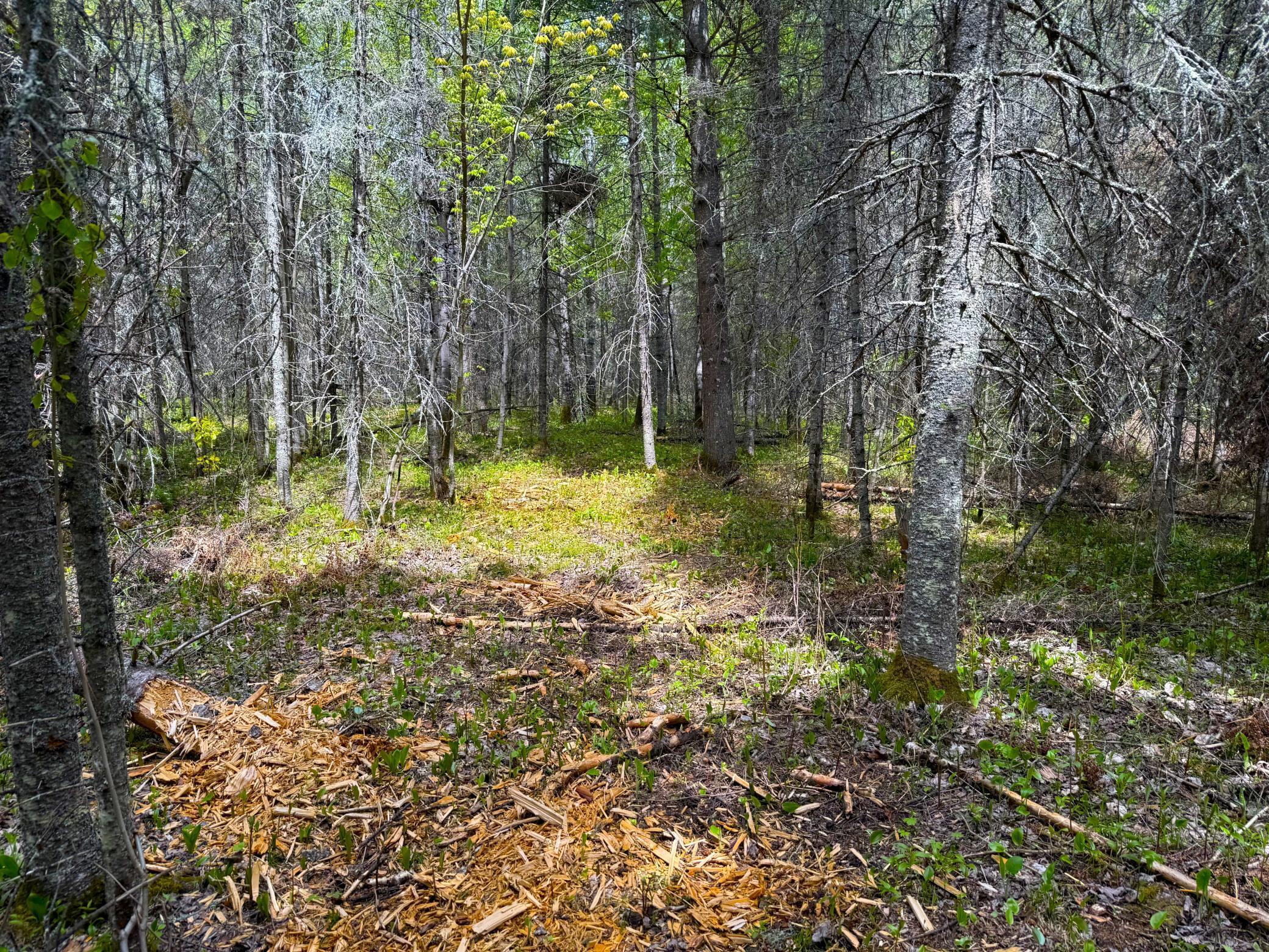 72XX E Central Lakes Road Lot F, Eveleth, Minnesota image 18