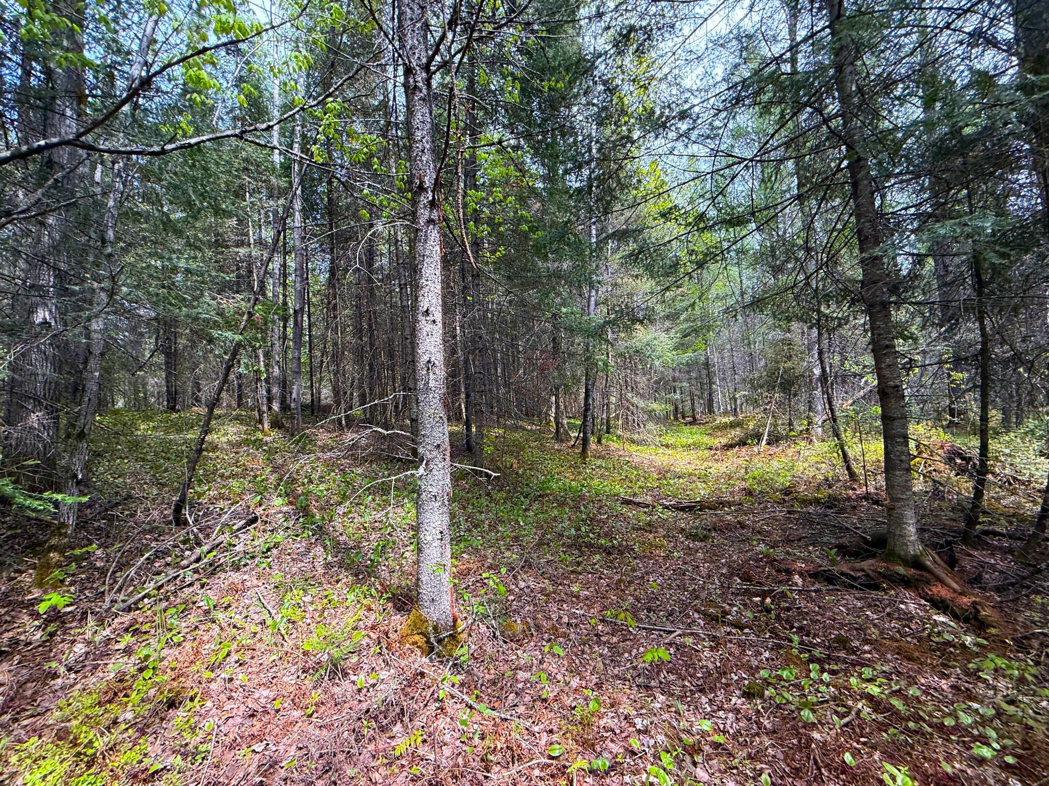 72XX E Central Lakes Road Lot F, Eveleth, Minnesota image 6