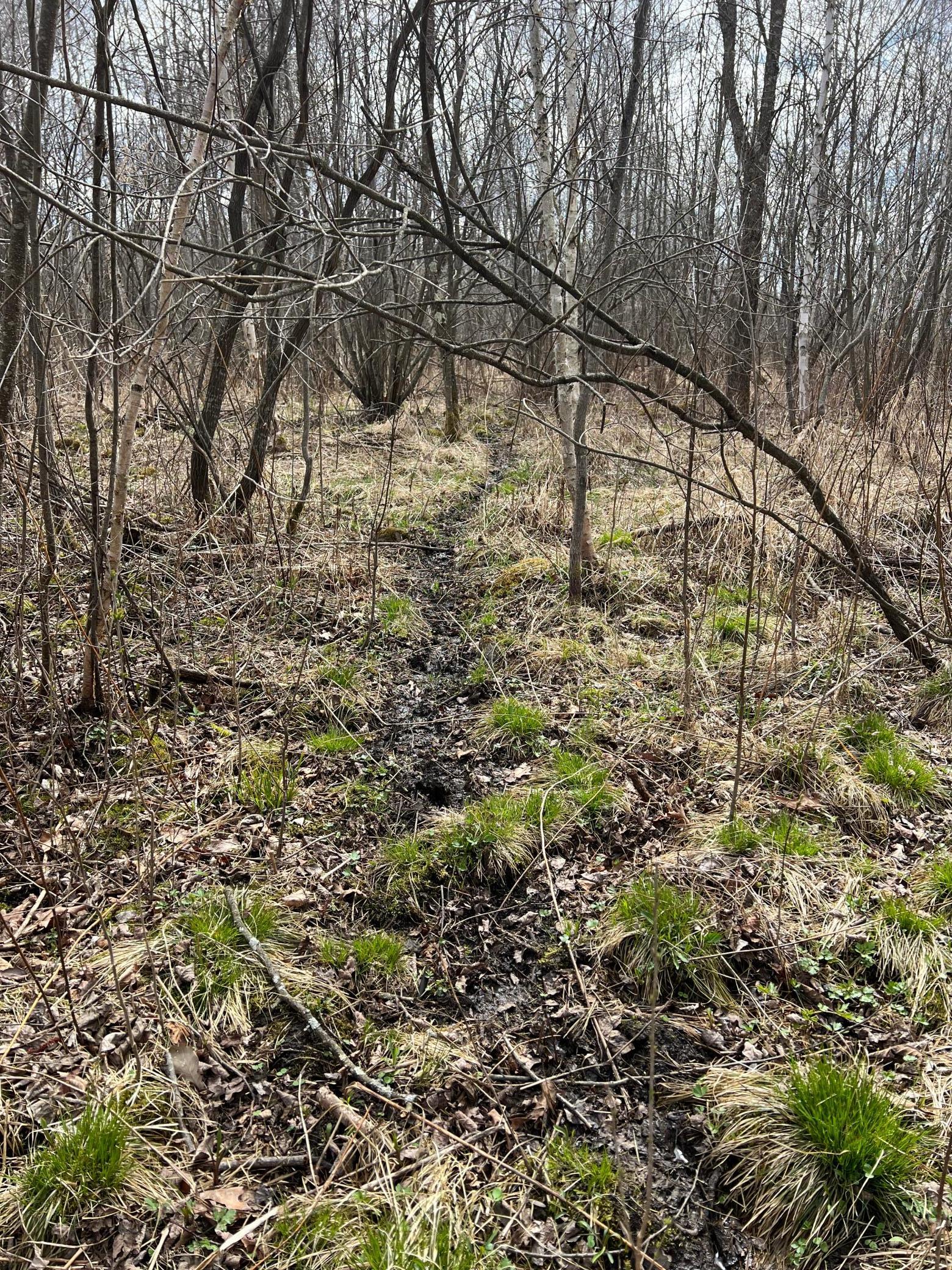 TBD Ivy Road, Milaca, Minnesota image 16
