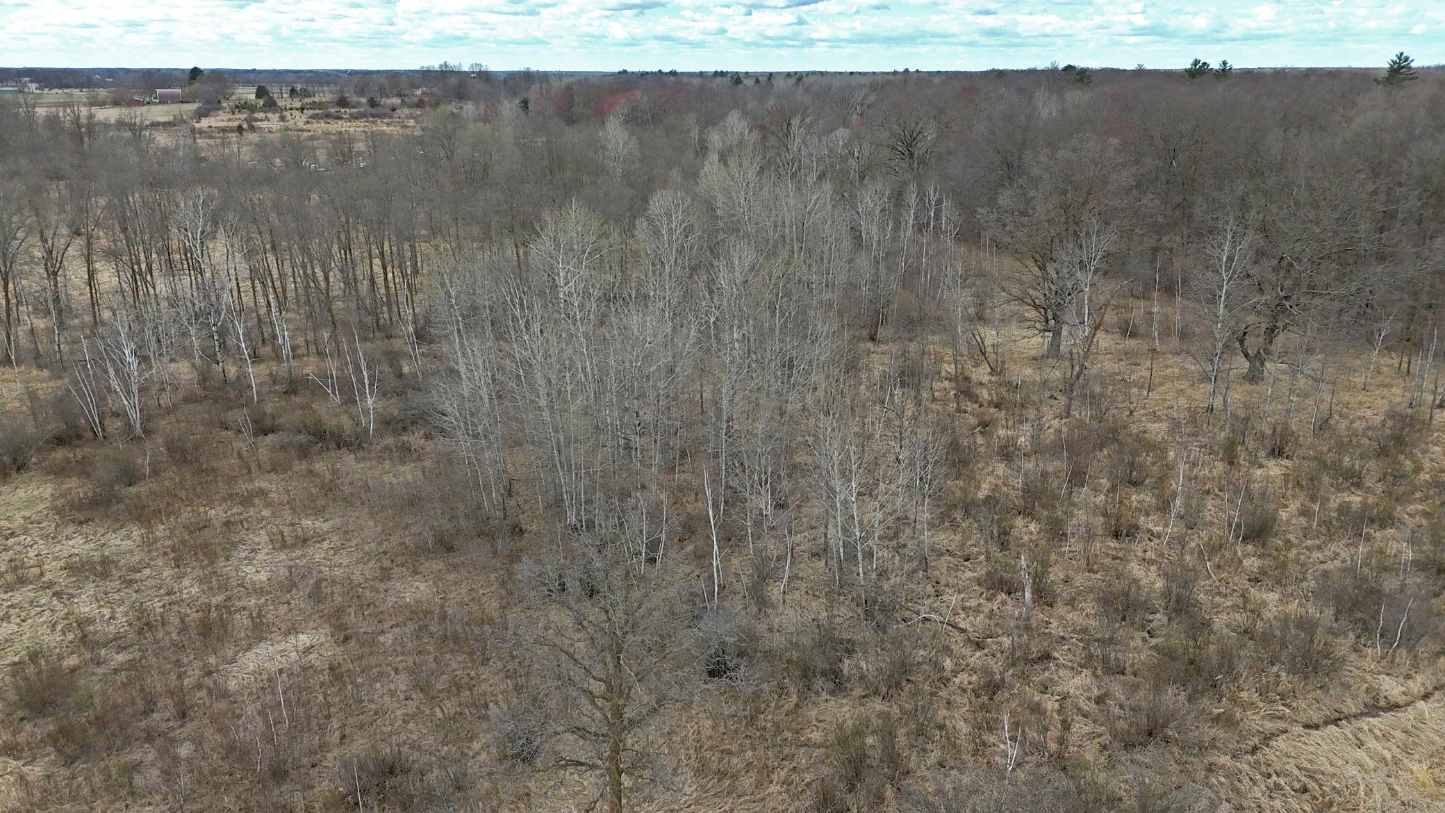 TBD Ivy Road, Milaca, Minnesota image 12