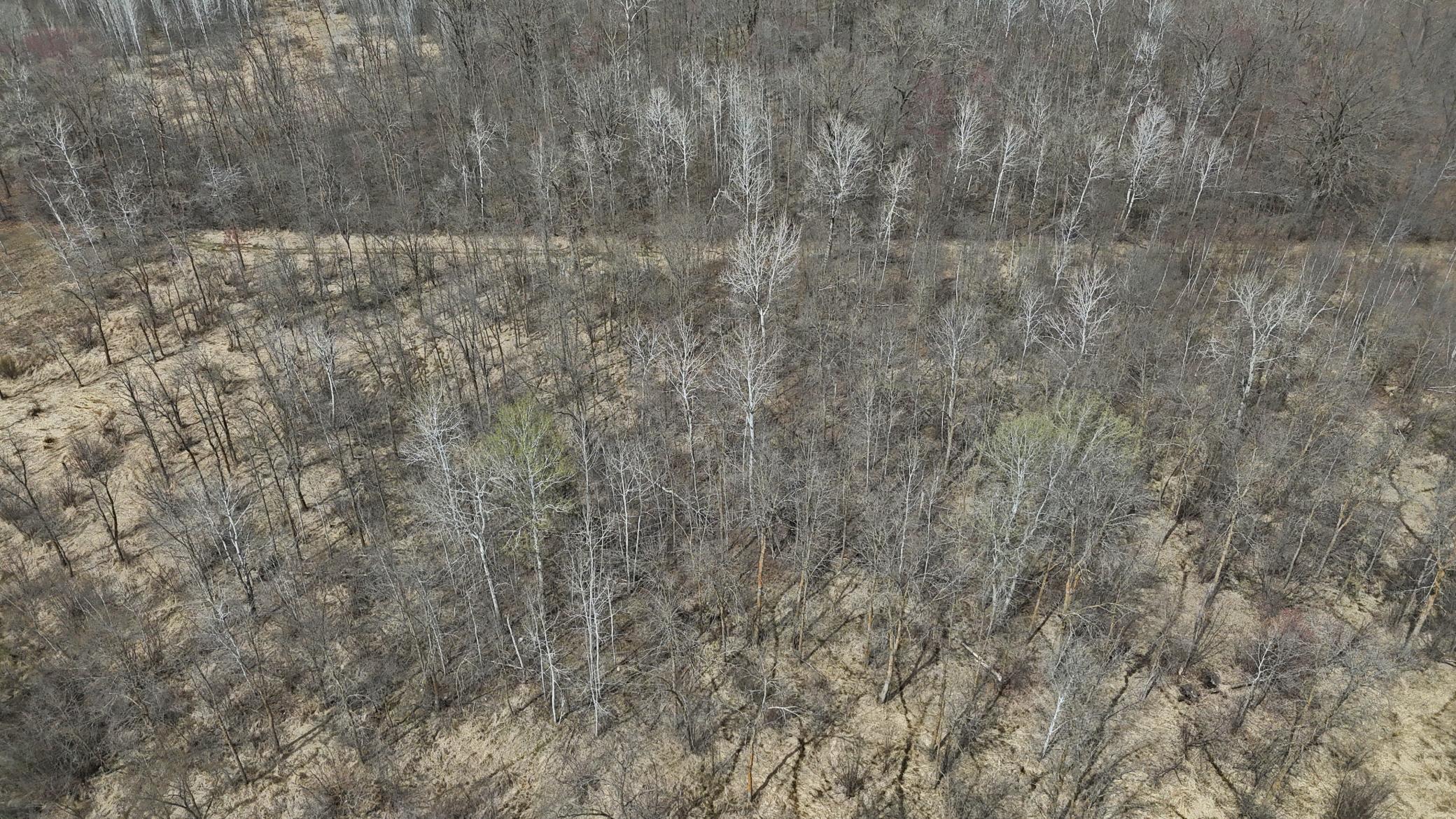 TBD Ivy Road, Milaca, Minnesota image 26