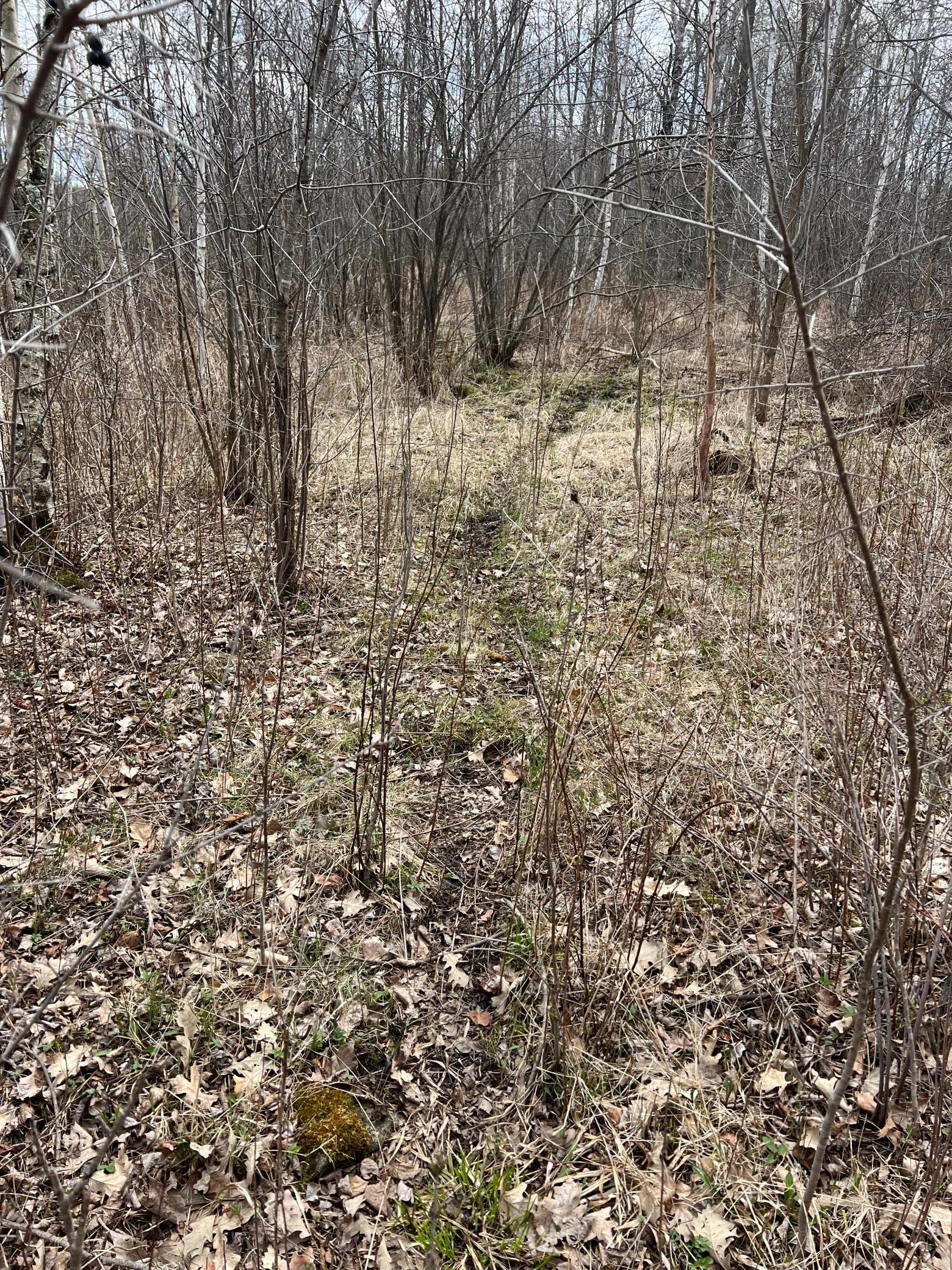 TBD Ivy Road, Milaca, Minnesota image 28