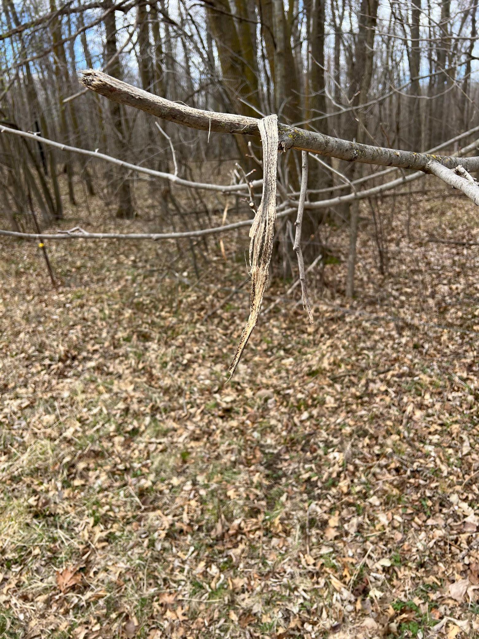 TBD Ivy Road, Milaca, Minnesota image 27