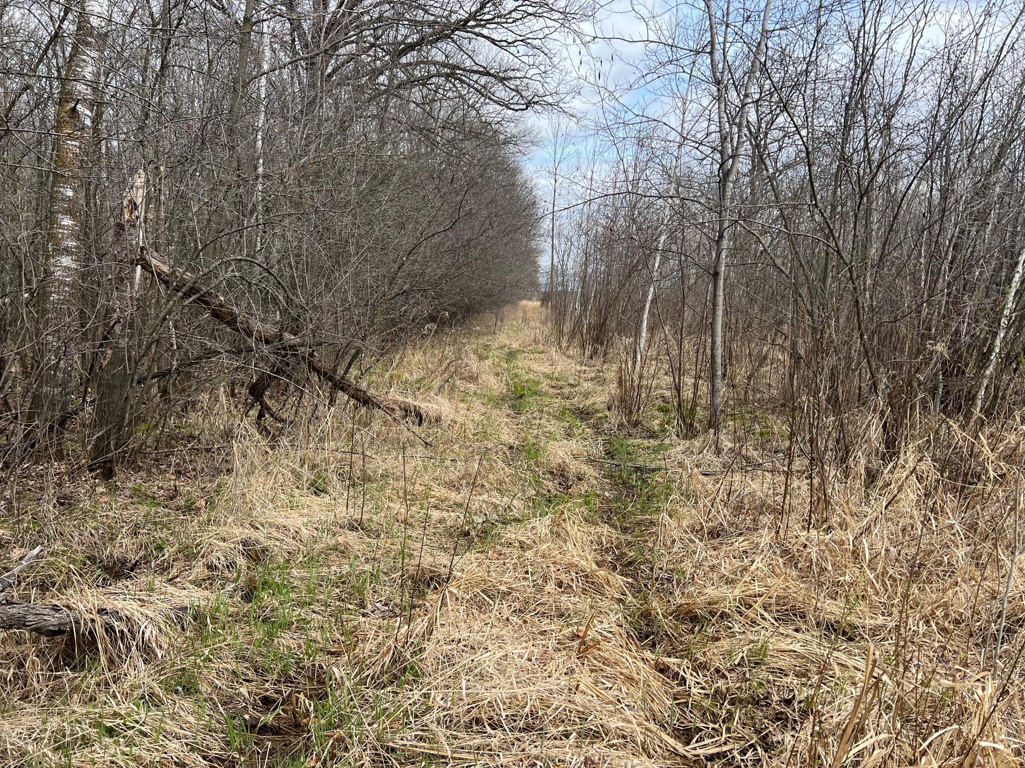 TBD Ivy Road, Milaca, Minnesota image 24
