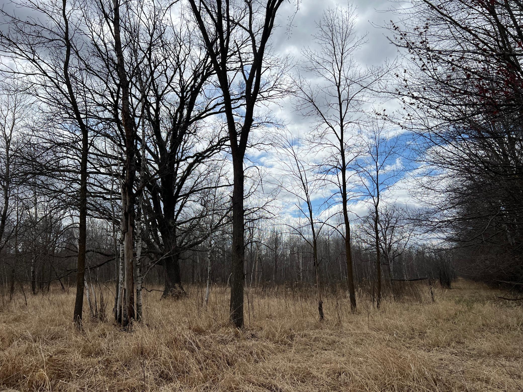 TBD Ivy Road, Milaca, Minnesota image 30