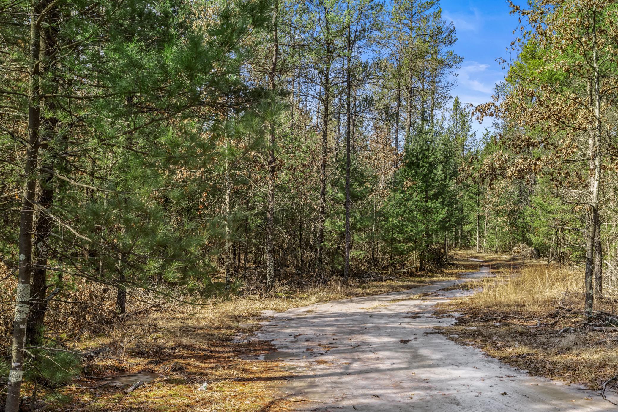 S10460 Black Creek Road, Fairchild, Wisconsin image 42