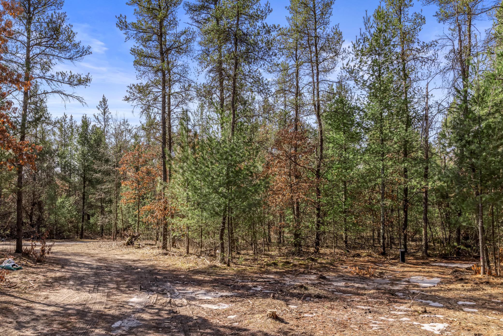 S10460 Black Creek Road, Fairchild, Wisconsin image 40