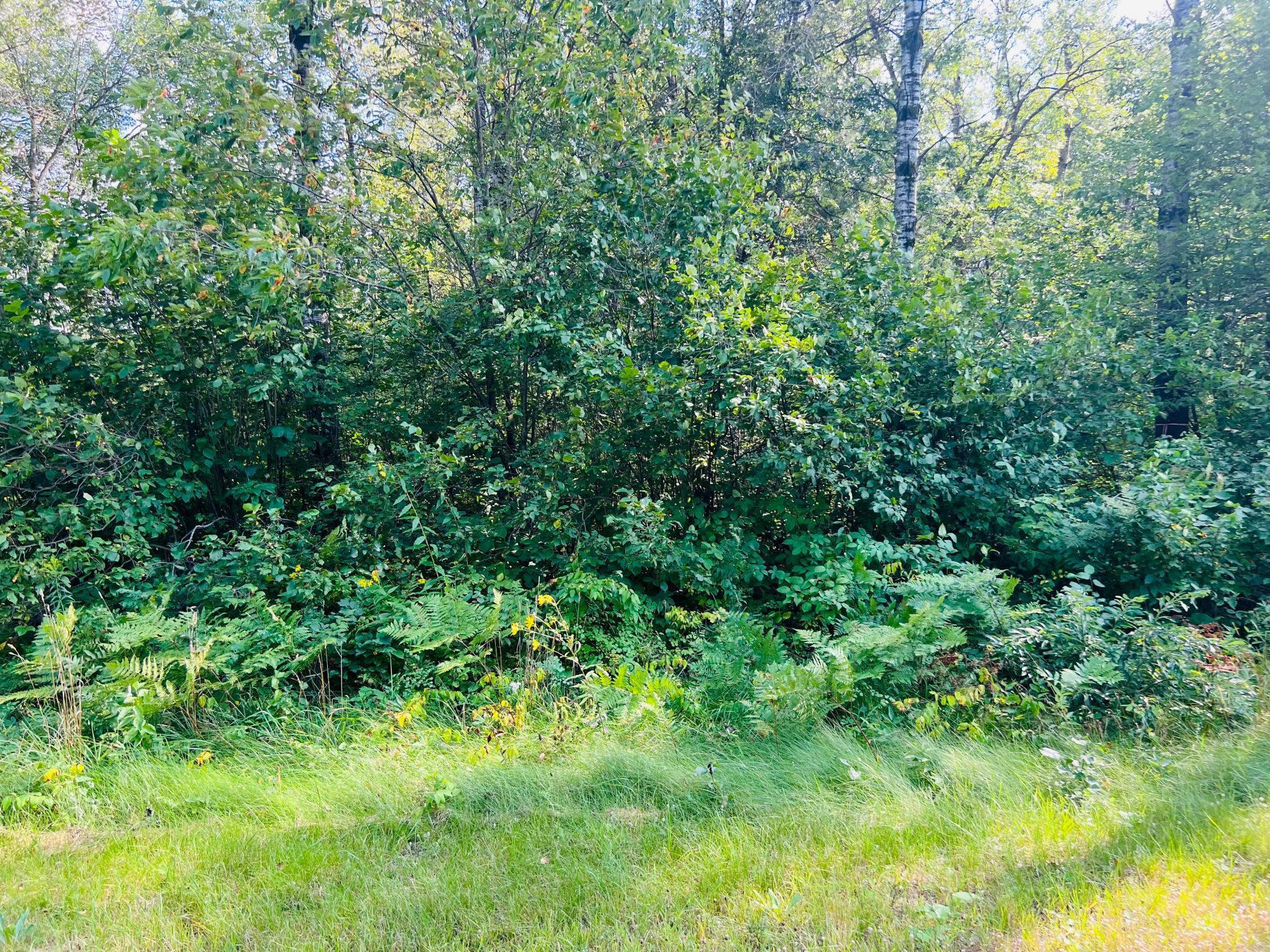 Lots 1 & 2 Indian Trail Road, Hayward, Wisconsin image 1