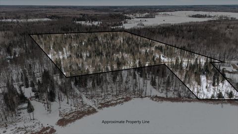 Vacant Land For Sale - TBD N Little Turtle Lake Rd<br/> Marcell, MN 56657