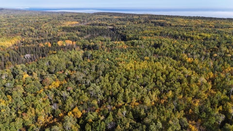 Vacant Land For Sale - 4603 North Road<br/> Grand Marais, MN 55604