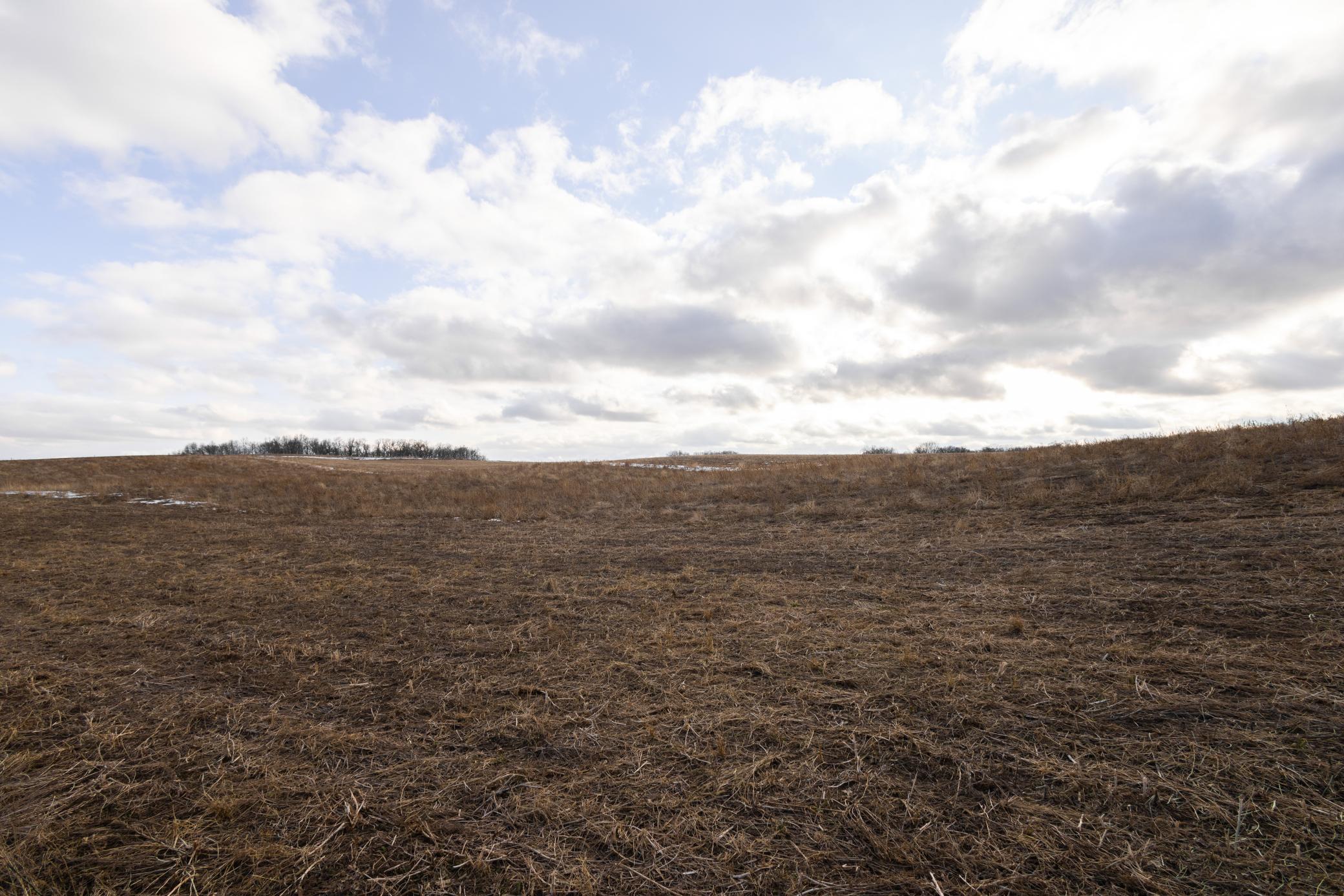 Xxxxx 267th Avenue, Fergus Falls, Minnesota image 8