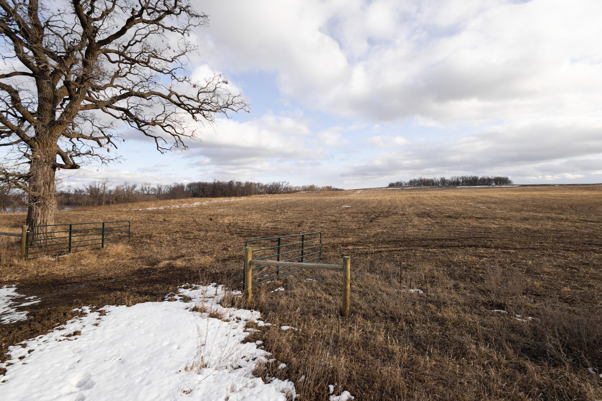 Xxxxx 267th Avenue, Fergus Falls, Minnesota image 4