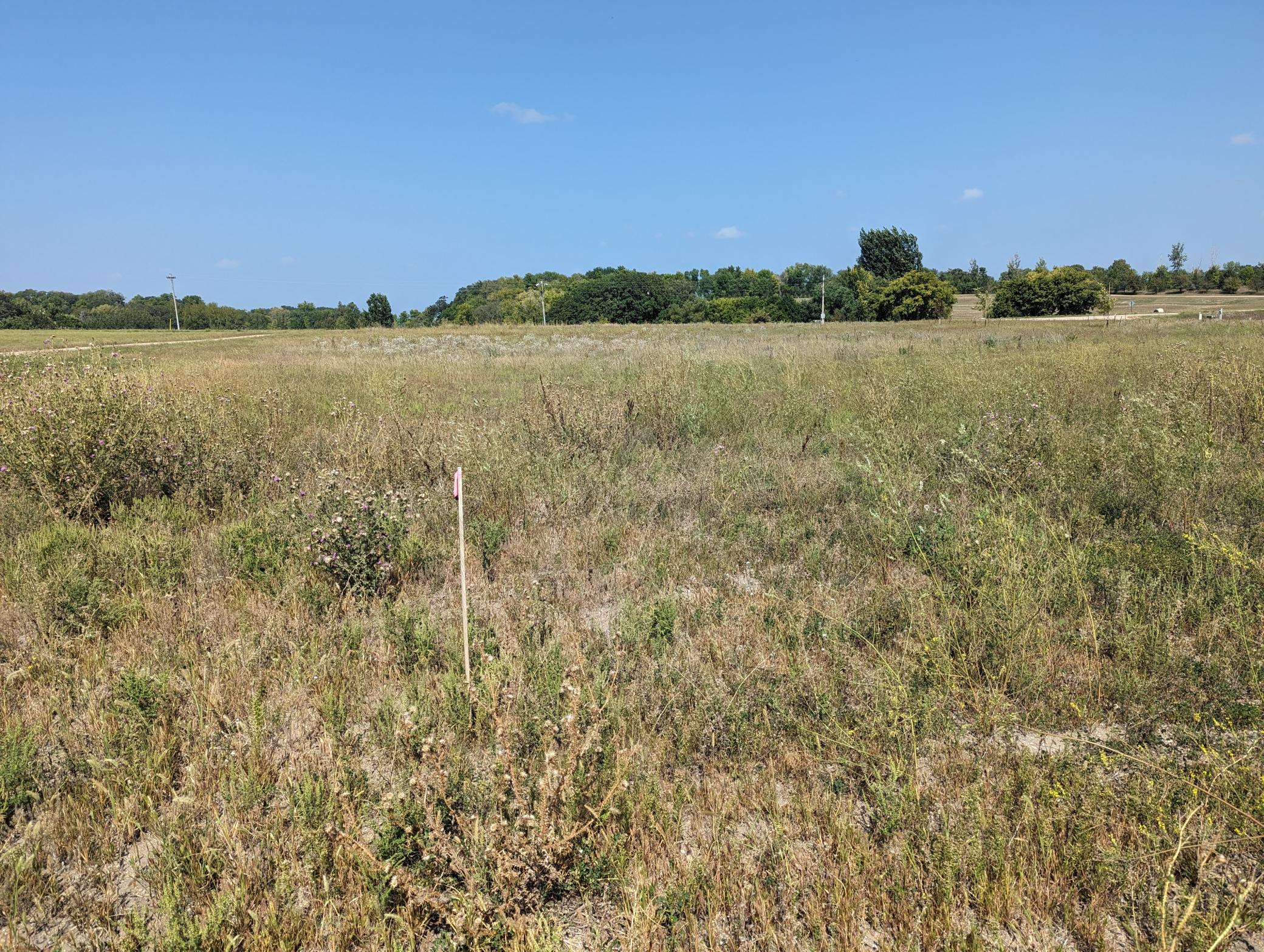 3262 County Road 61, Alexandria, Minnesota image 4