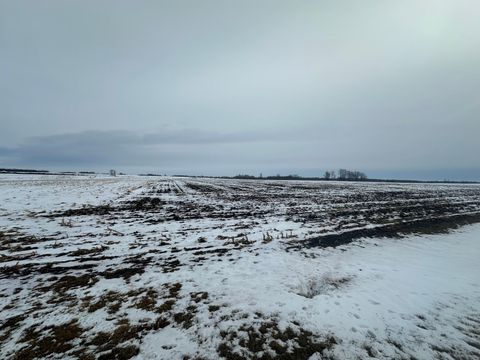 Vacant Land For Sale - TBD County 36<br/> Todd County, Long Prairie, MN 56347