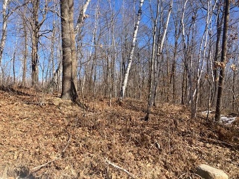 Vacant Land For Sale - TBD Sherwood Drive<br/> Motley, MN 56466