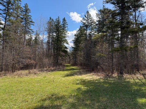 Vacant Land For Sale - TBD County Road 144<br/> Brainerd, MN 56401