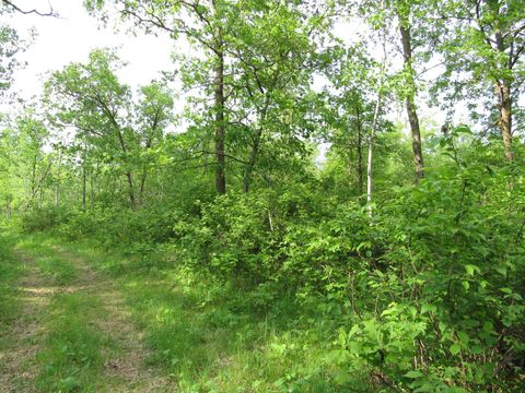 Vacant Land For Sale - TBD 32nd Ave<br/> Backus, MN 56435