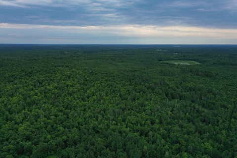 Vacant Land For Sale - TBD 269th Avenue<br/> Laporte, MN 56461