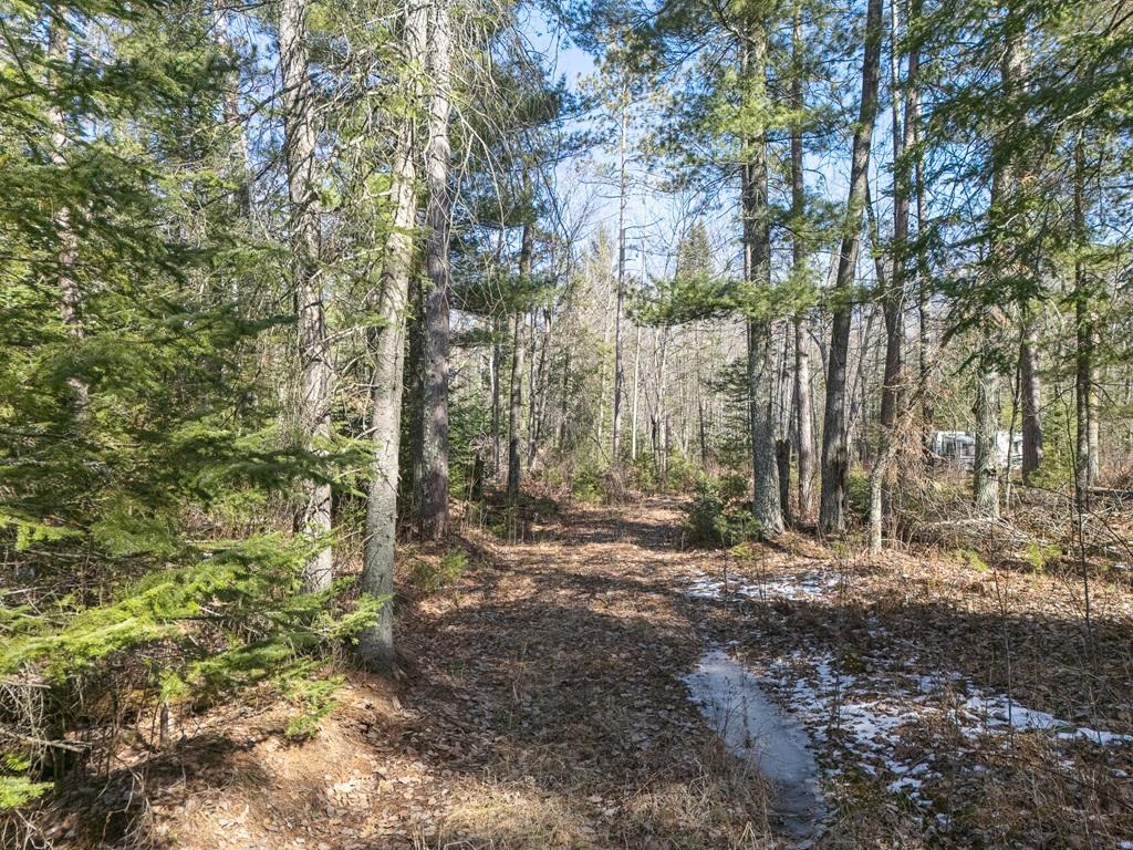 290 S Lake Lawrence Road, Outing, Minnesota image 4