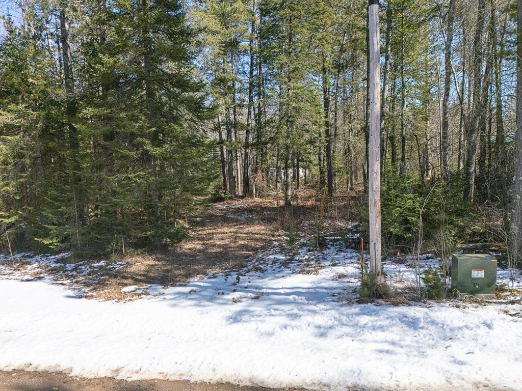 290 S Lake Lawrence Road, Outing, Minnesota image 1