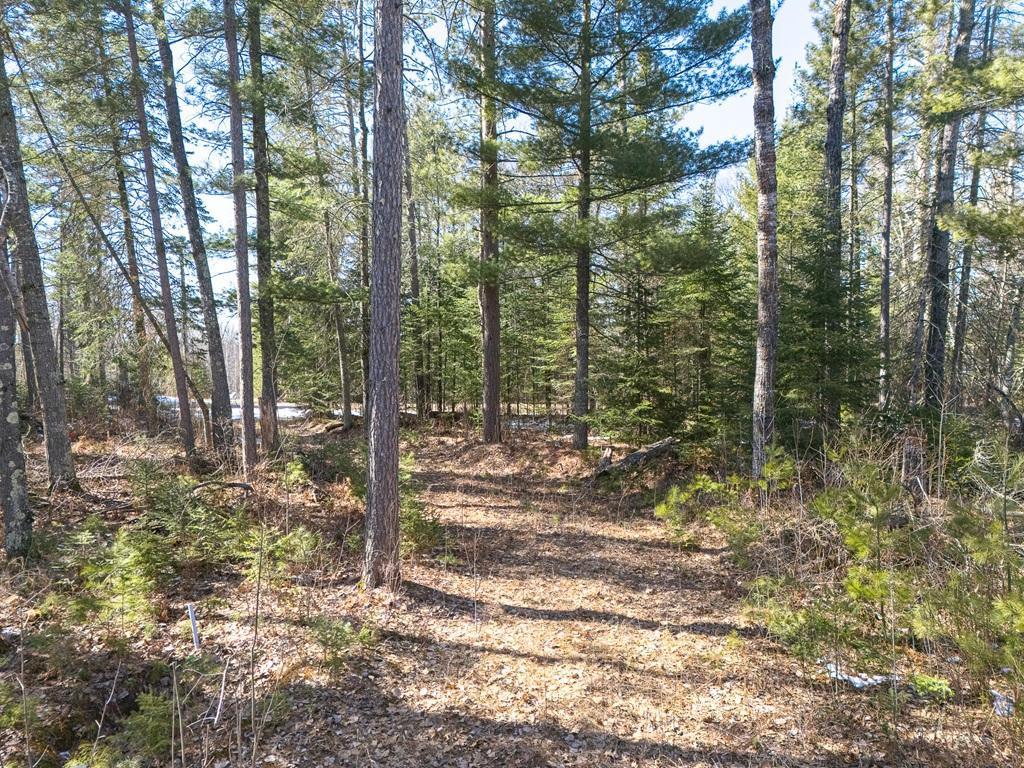 290 S Lake Lawrence Road, Outing, Minnesota image 3