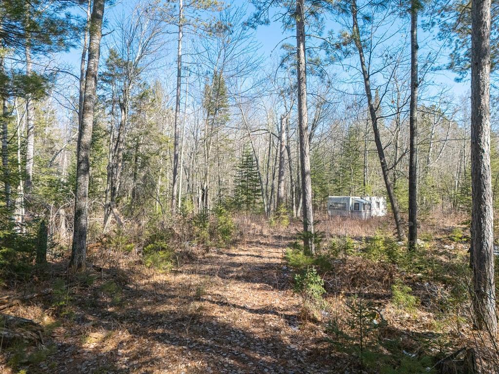 290 S Lake Lawrence Road, Outing, Minnesota image 5
