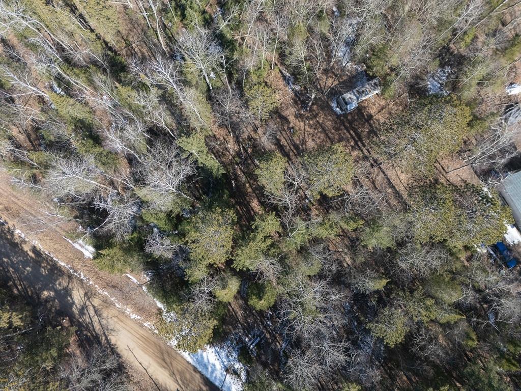 290 S Lake Lawrence Road, Outing, Minnesota image 10