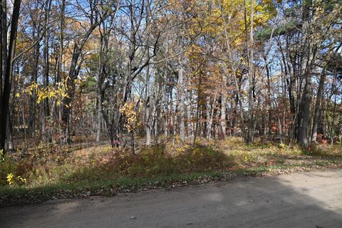 Vacant Land For Sale - 40889 Penelope Loop<br/> Todd County, Browerville, MN 56438