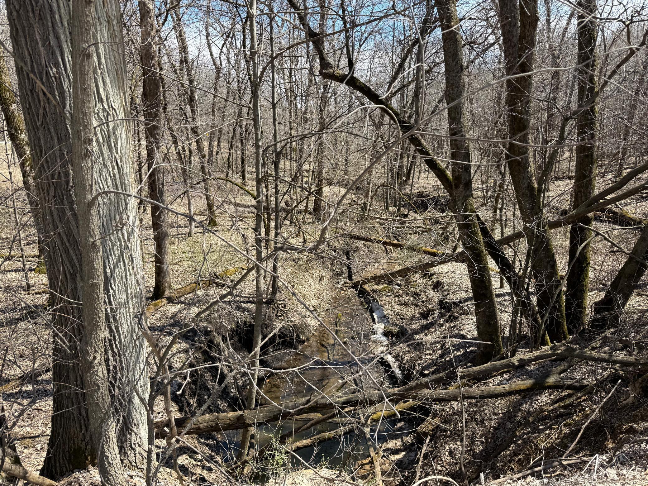 TBD Olive Road, Spring Valley, Minnesota image 40