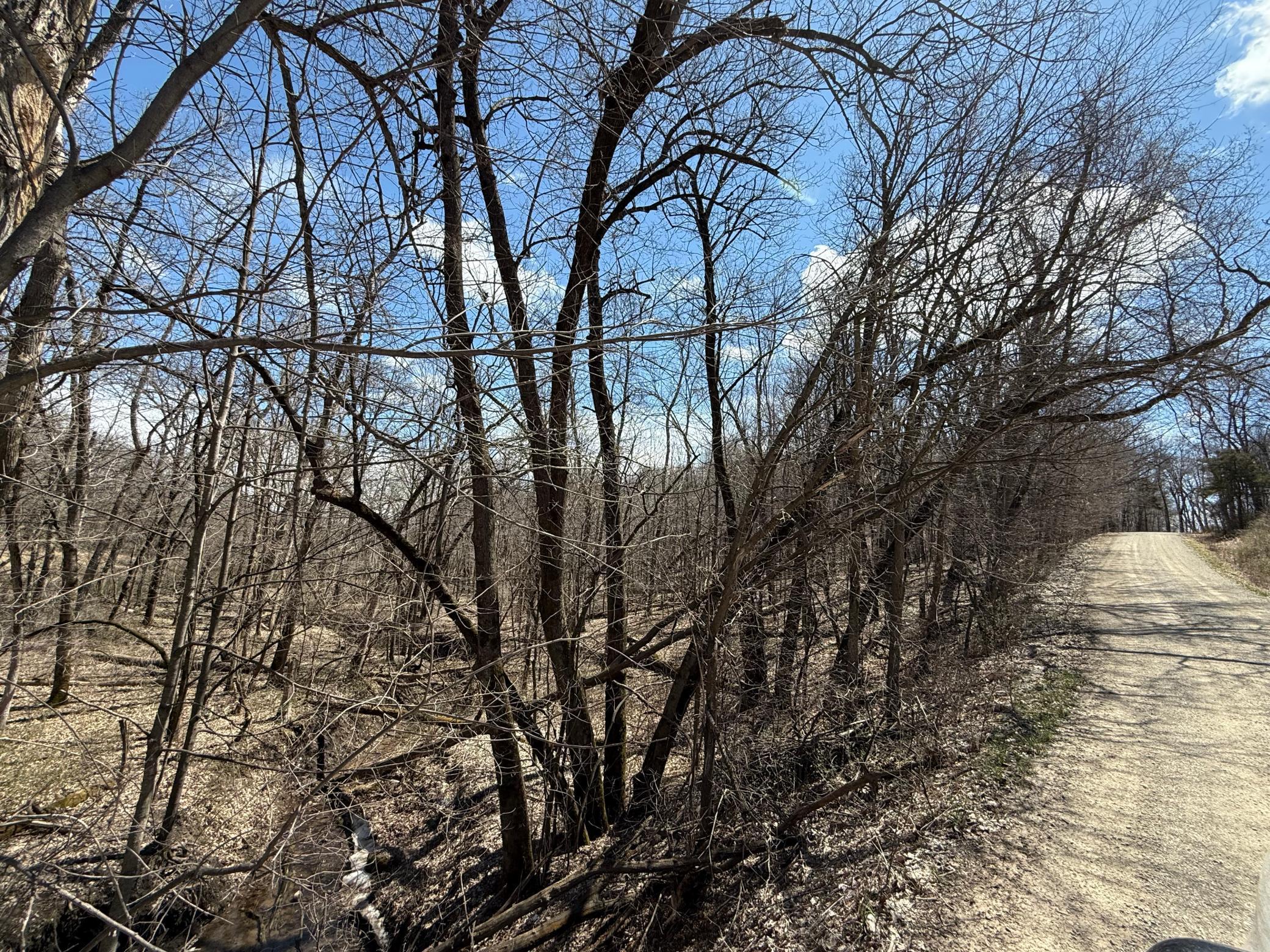 TBD Olive Road, Spring Valley, Minnesota image 13
