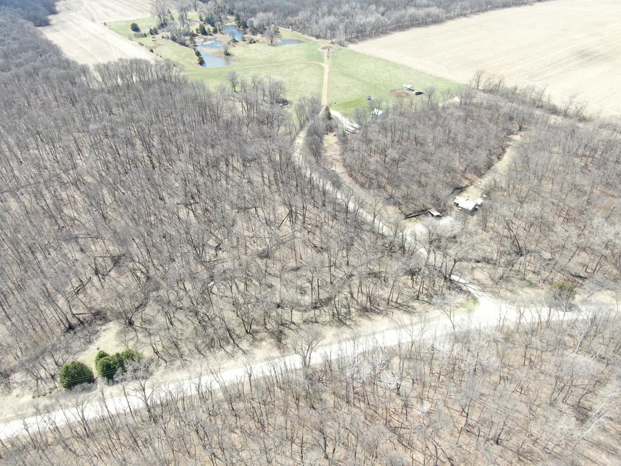 TBD Olive Road, Spring Valley, Minnesota image 3