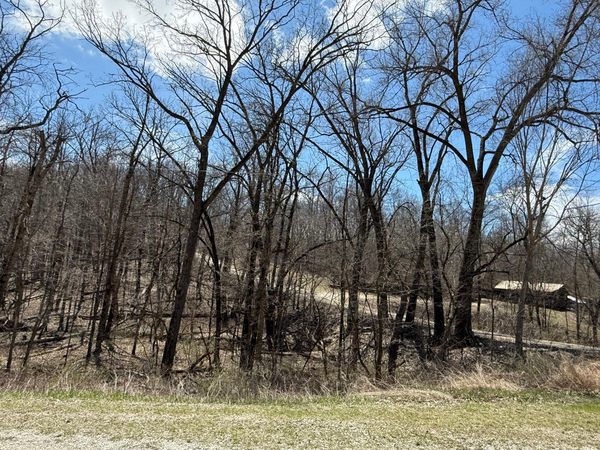 TBD Olive Road, Spring Valley, Minnesota image 27