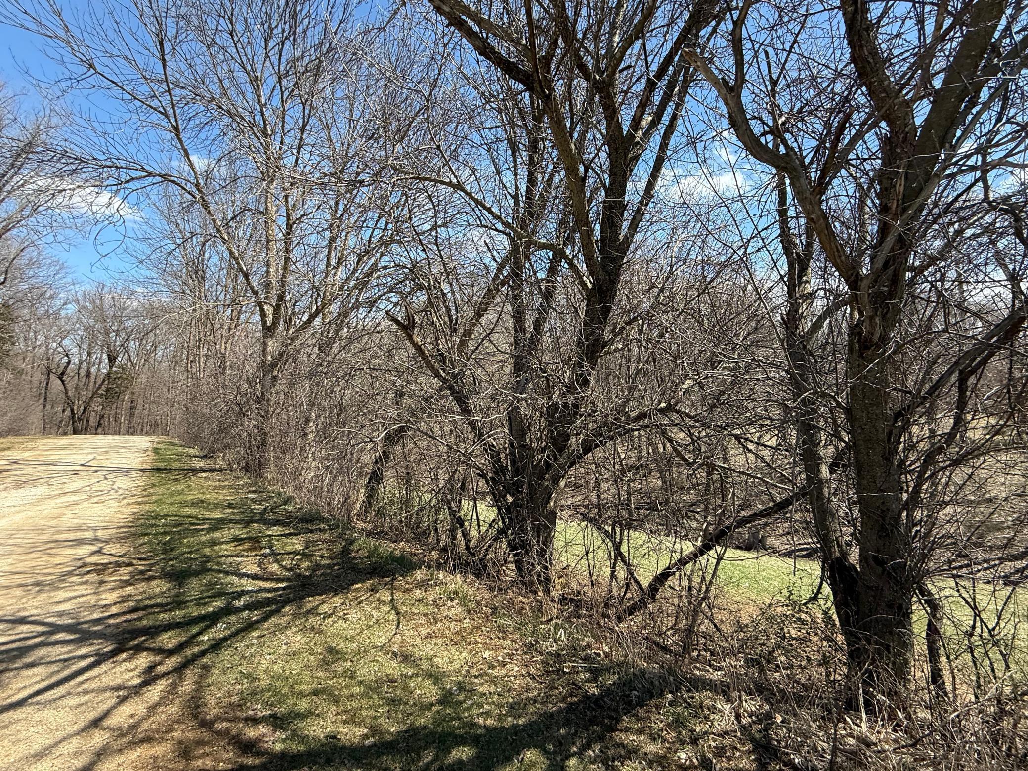 TBD Olive Road, Spring Valley, Minnesota image 15