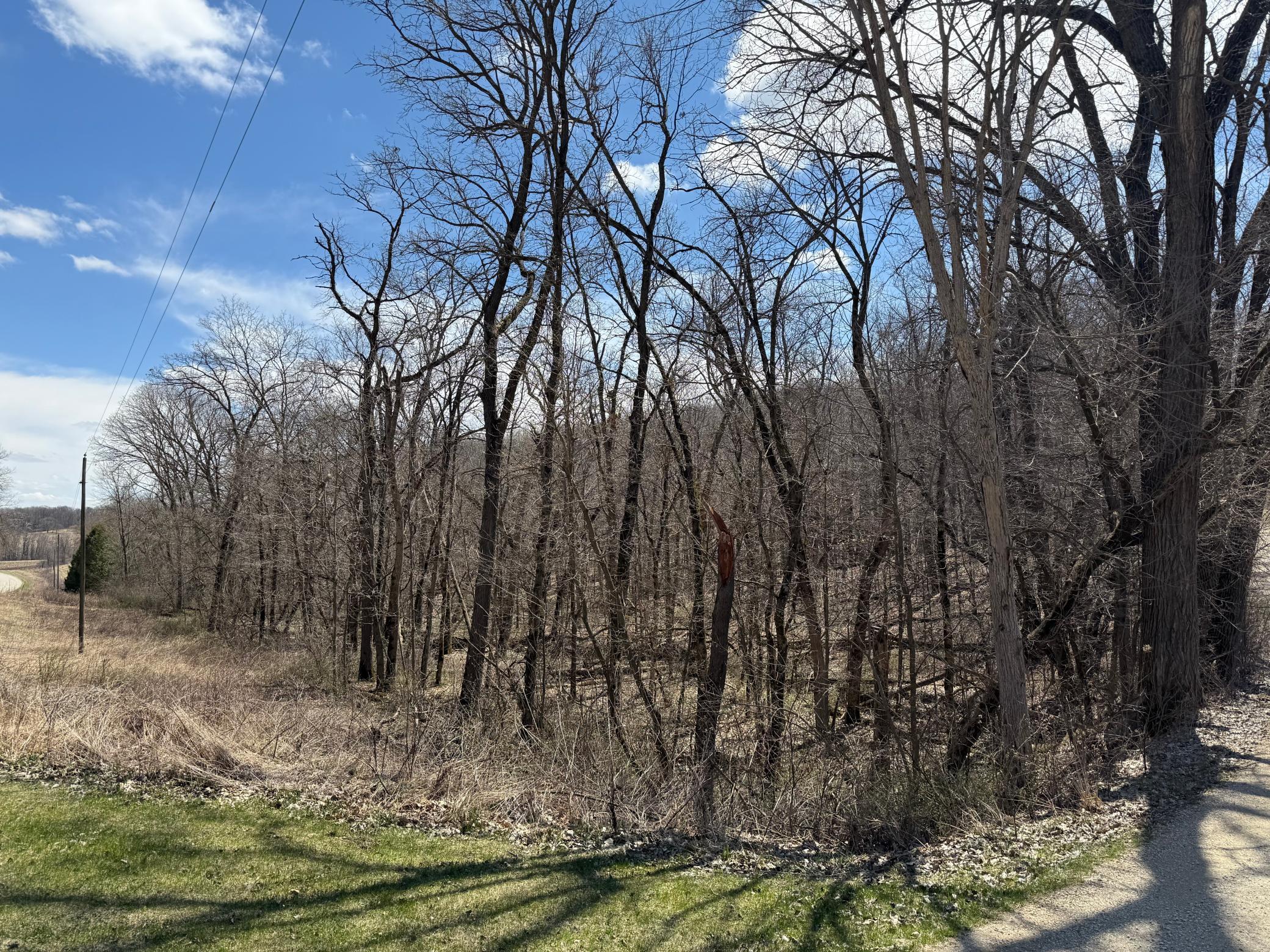 TBD Olive Road, Spring Valley, Minnesota image 11