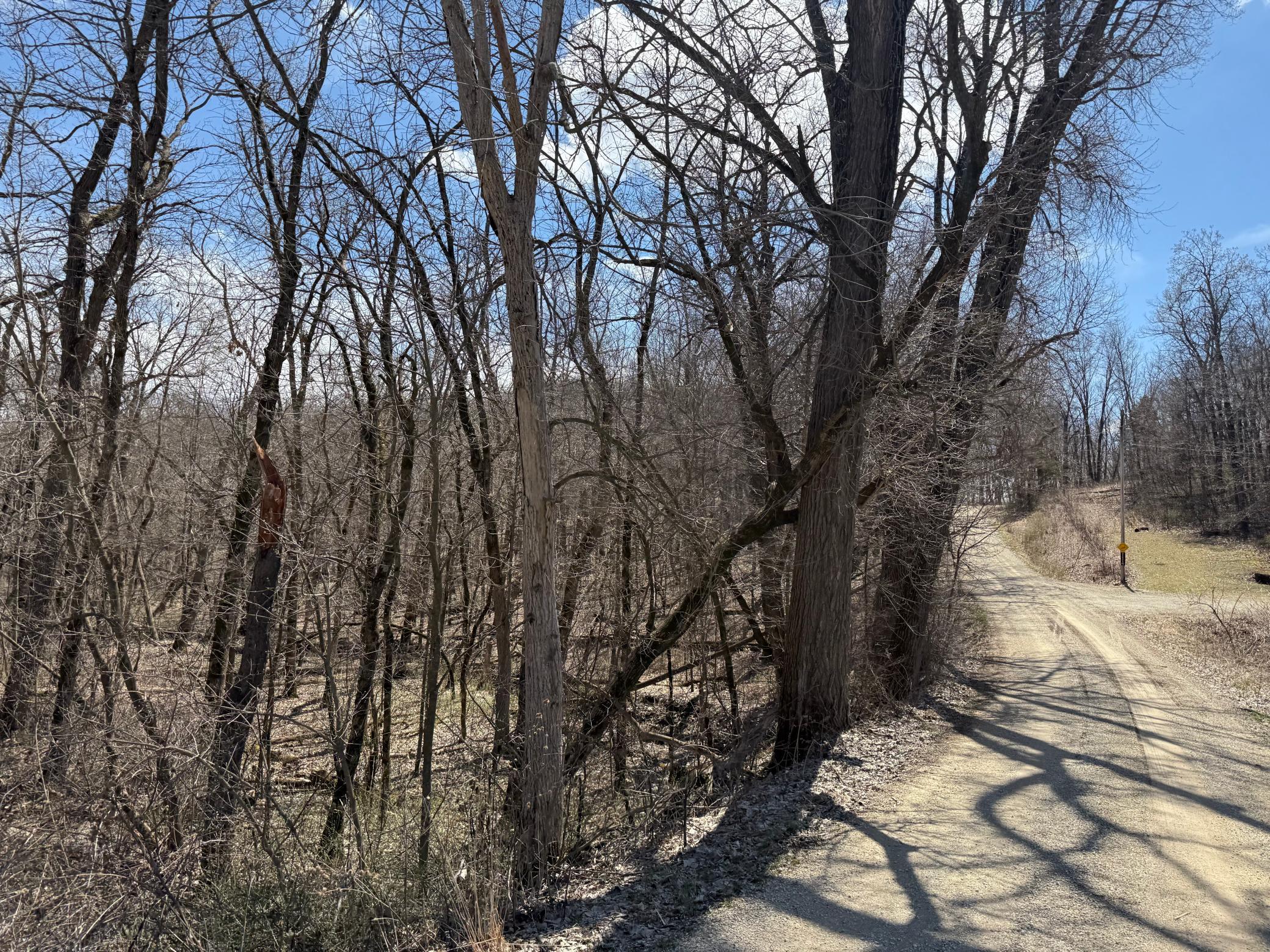TBD Olive Road, Spring Valley, Minnesota image 12
