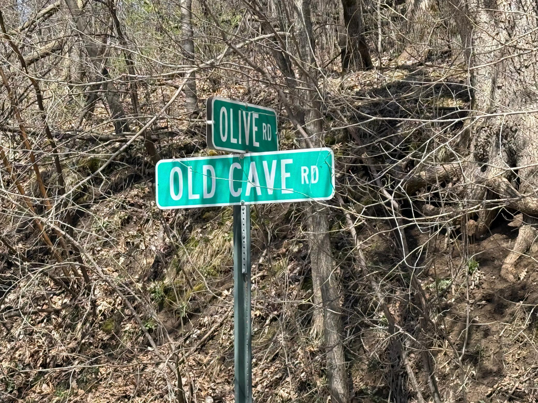 TBD Olive Road, Spring Valley, Minnesota image 10