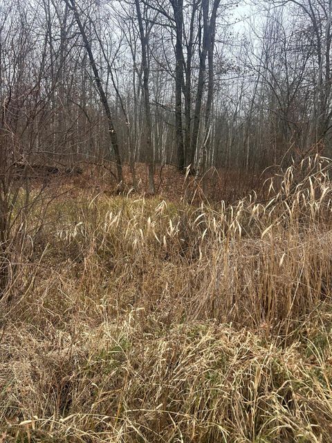 Vacant Land For Sale - TBDXX Lake Camile<br/> Randall, MN 56475