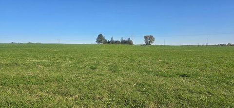 Vacant Land For Sale - TBD ( LOT 3 BLK 2) 3rd Avenue<br/> Harmony, MN 55922