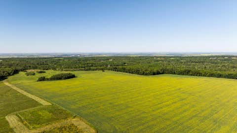 Vacant Land For Sale - TBD Lake Road<br/> Bottineau, ND 58318