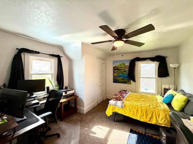 122 3rd Avenue, Spring Grove, Minnesota image 24
