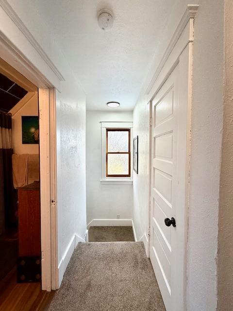 122 3rd Avenue, Spring Grove, Minnesota image 28
