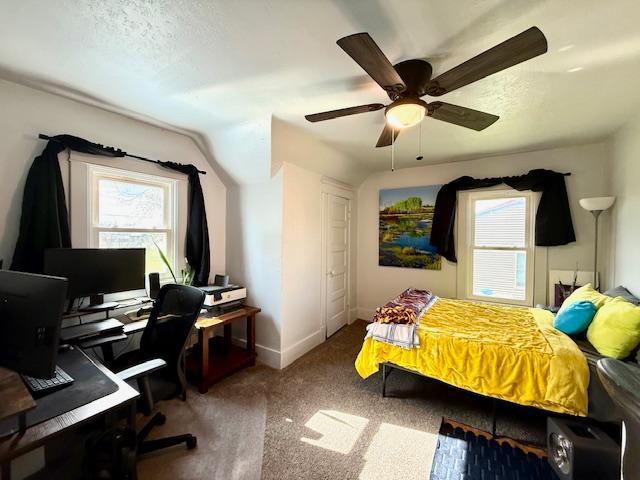 122 3rd Avenue, Spring Grove, Minnesota image 25