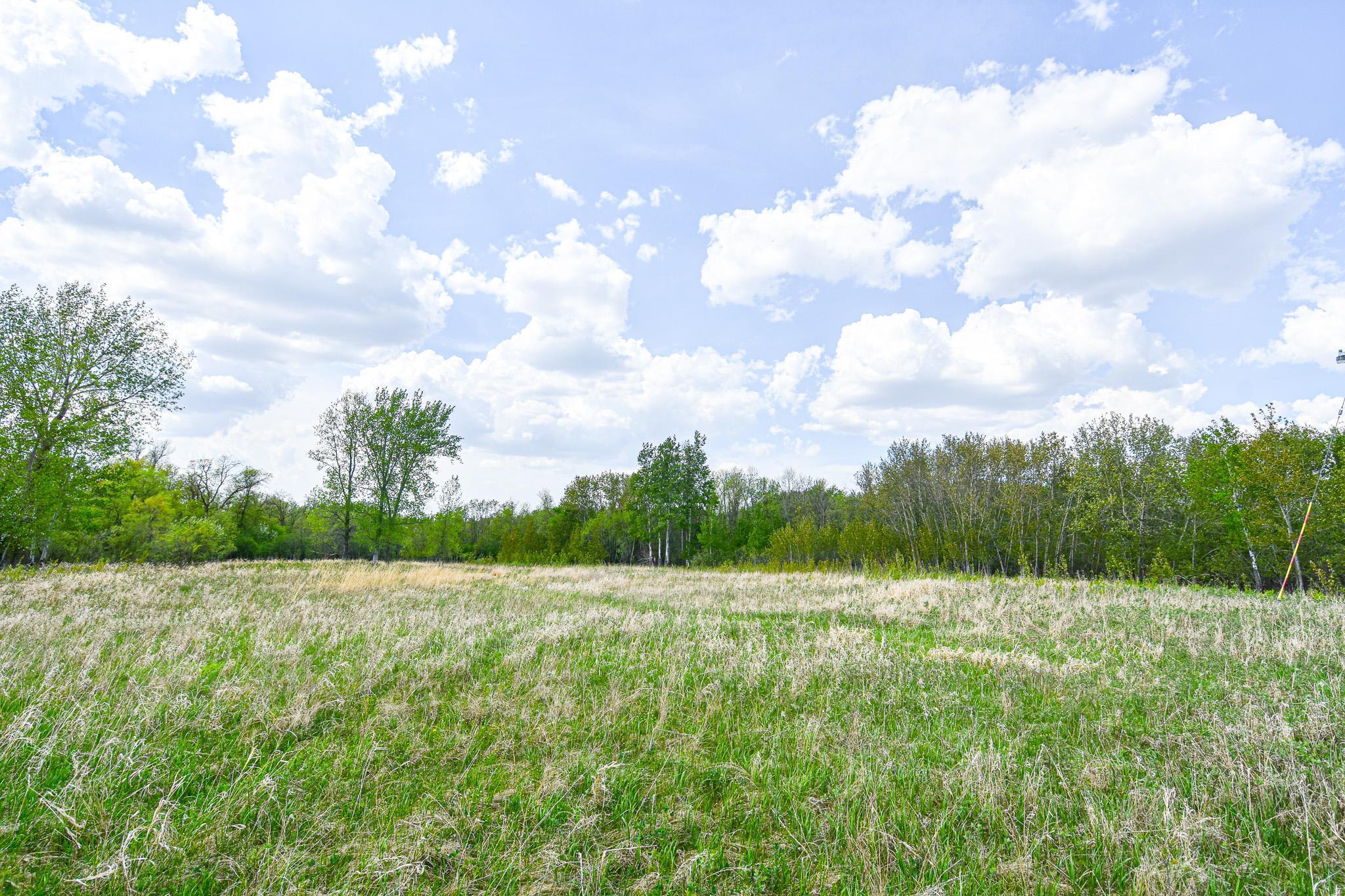 TBD 150th Ave Ne, Thief River Falls, Minnesota image 3
