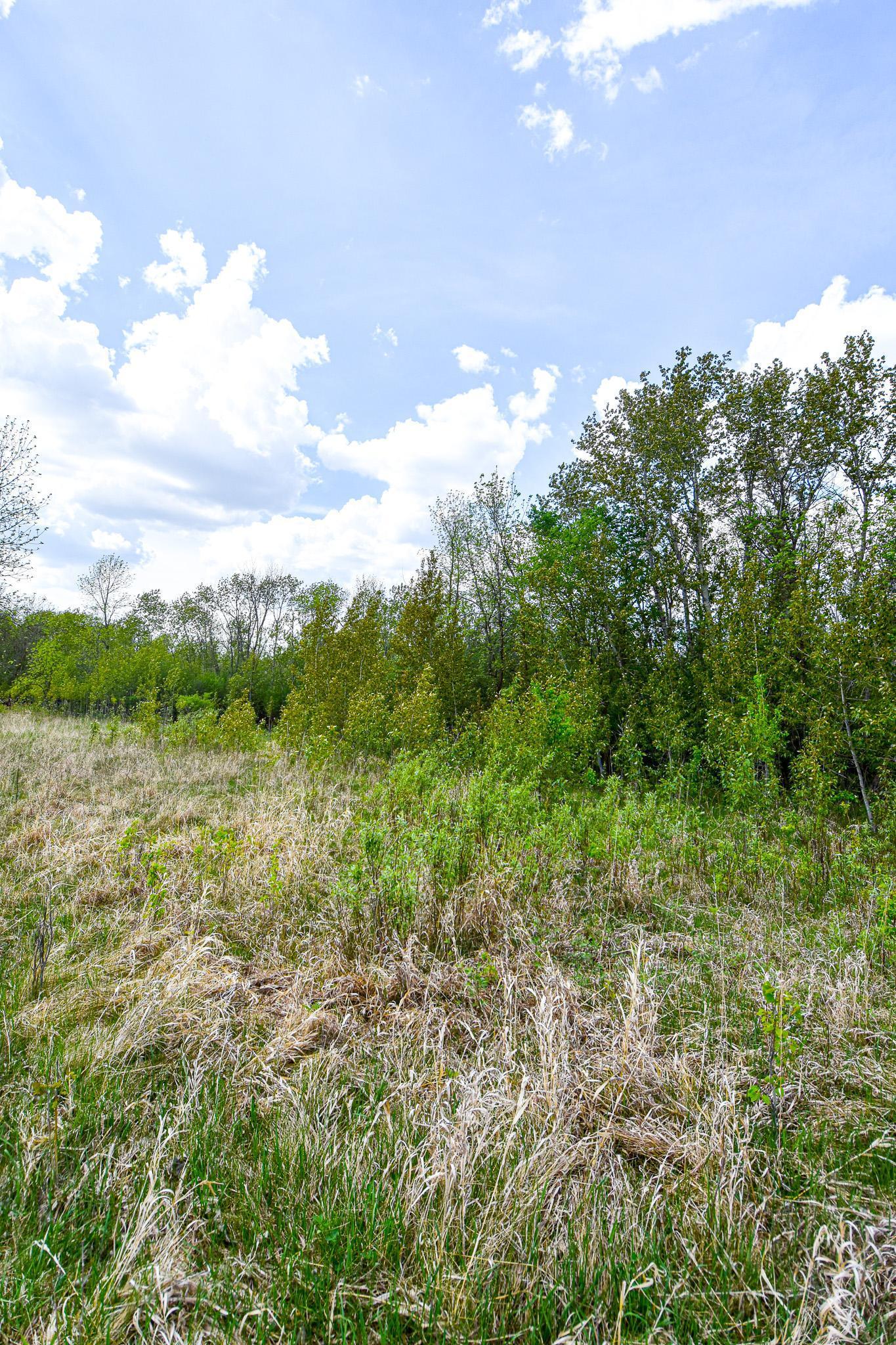 TBD 150th Ave Ne, Thief River Falls, Minnesota image 11