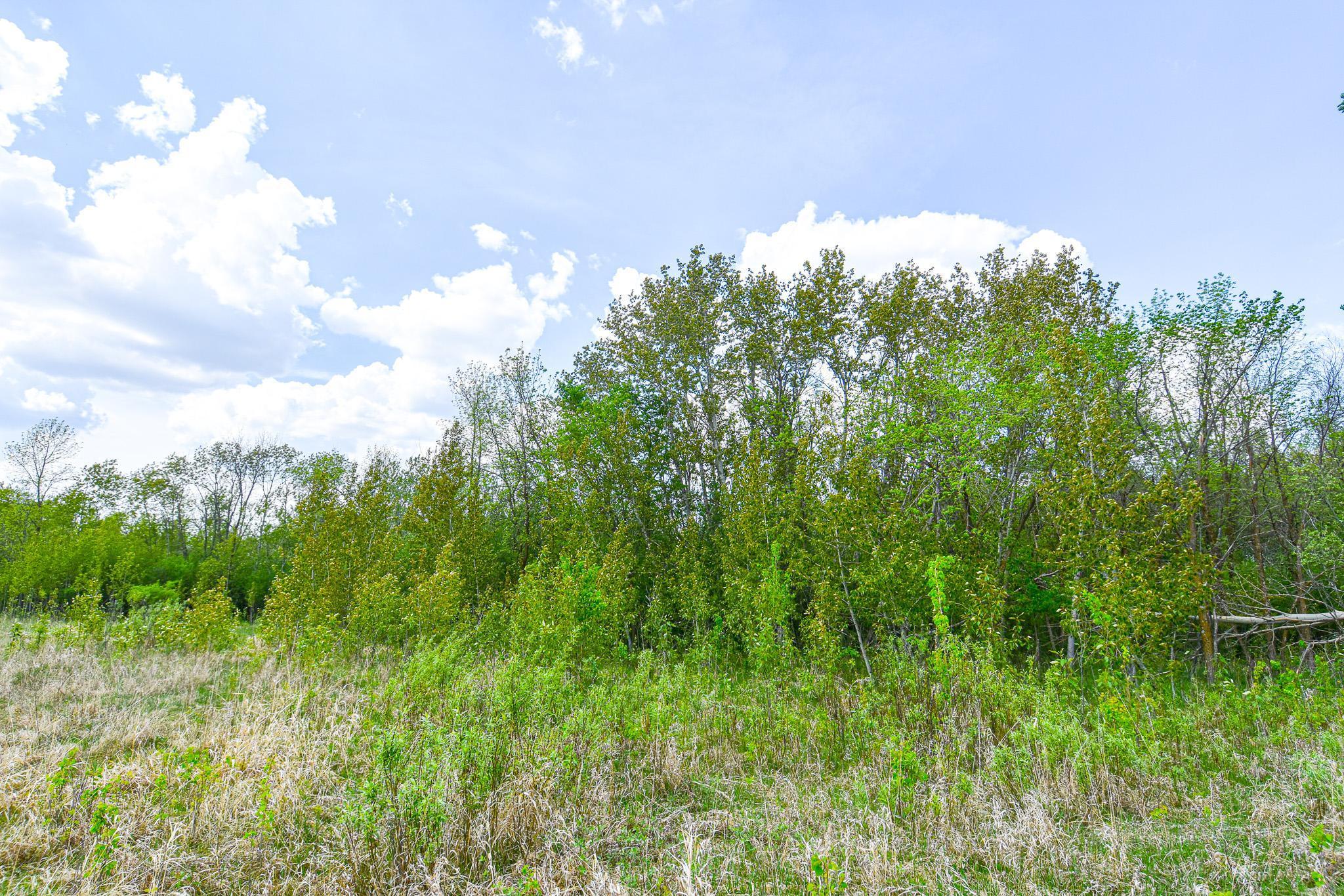TBD 150th Ave Ne, Thief River Falls, Minnesota image 10
