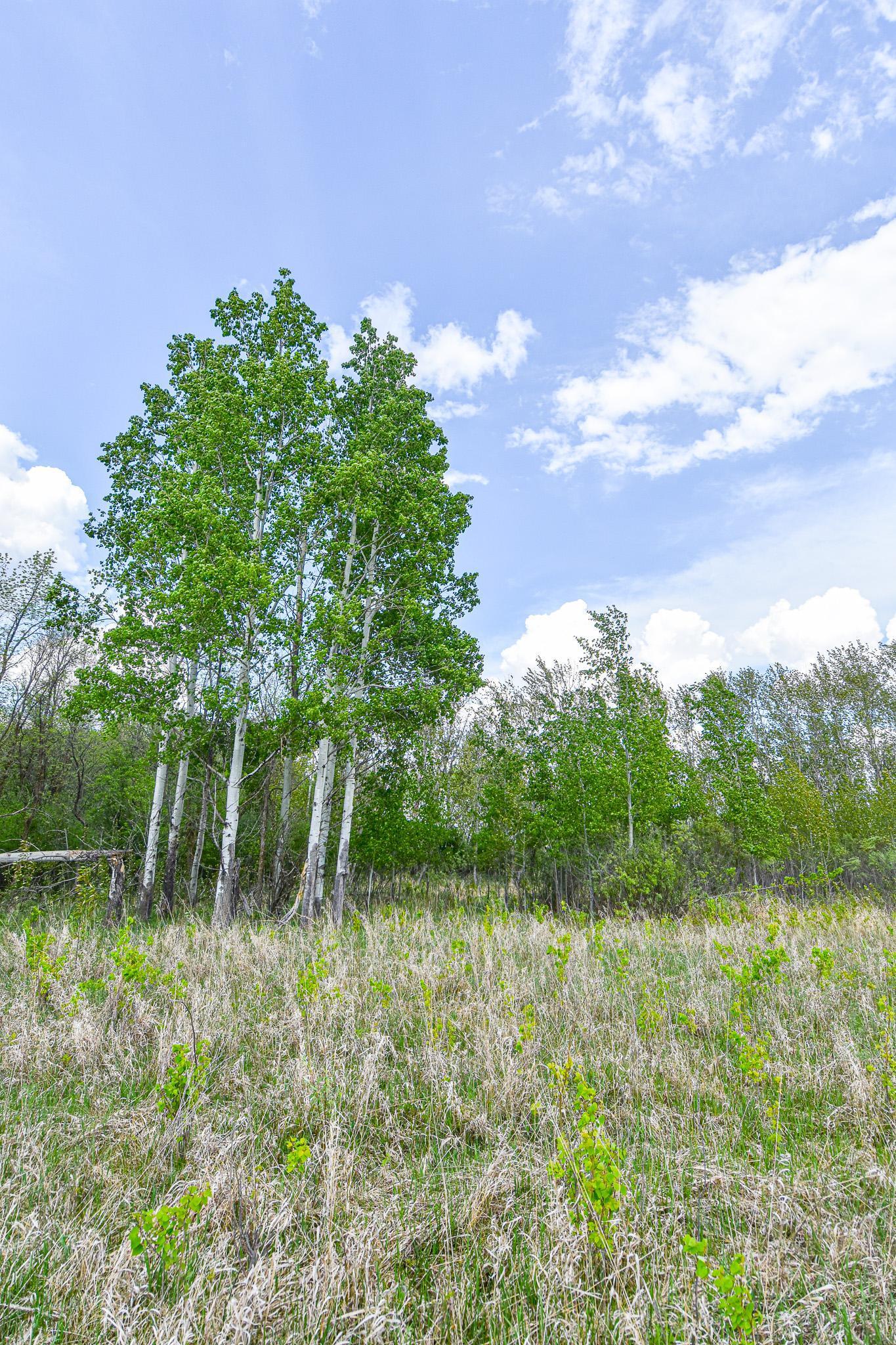 TBD 150th Ave Ne, Thief River Falls, Minnesota image 8