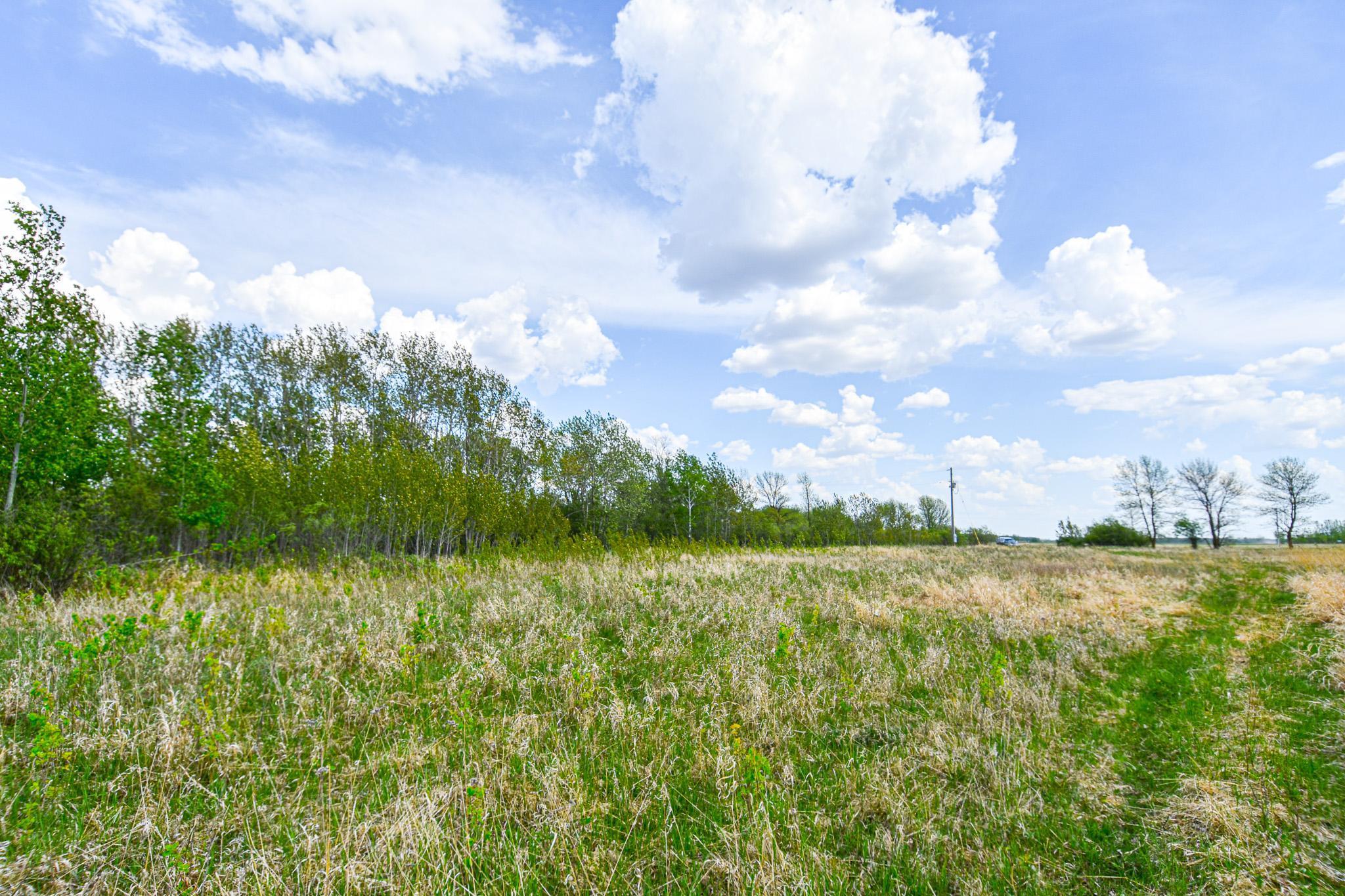 TBD 150th Ave Ne, Thief River Falls, Minnesota image 7